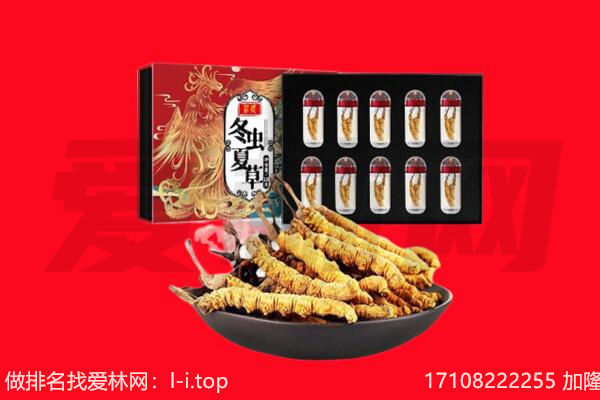 阳江阳春市回收虫草.jpg